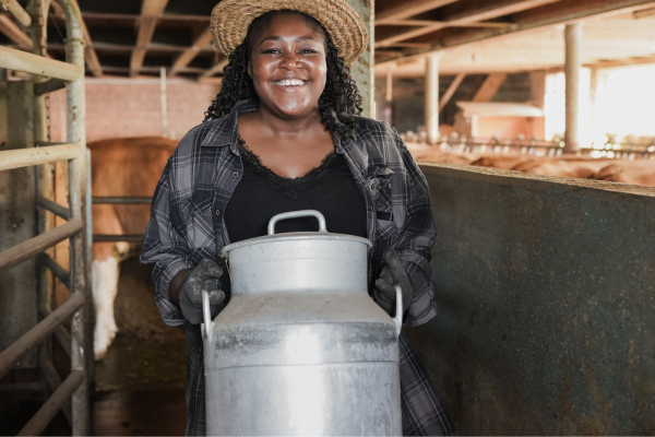 Serviços de Conveniência